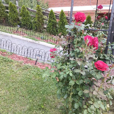 Sanja Apartman *