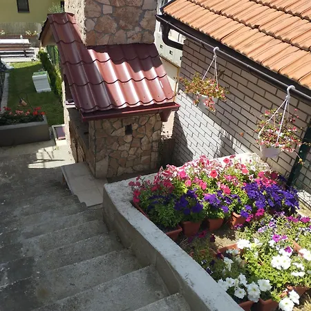 Sanja سراييفو