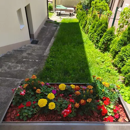 Sanja سراييفو