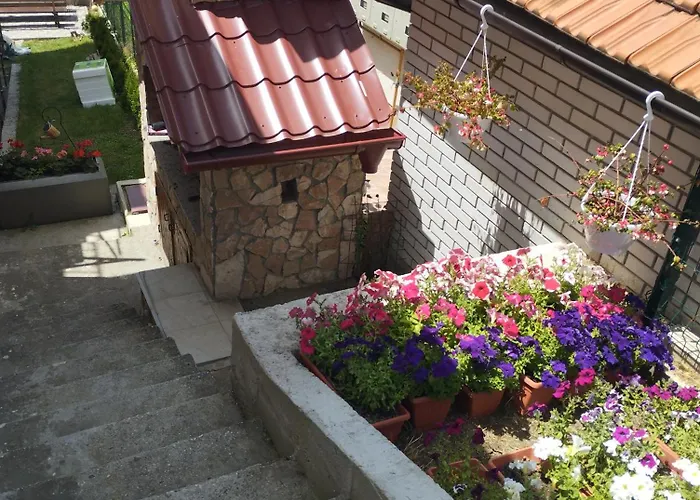 Sanja سراييفو