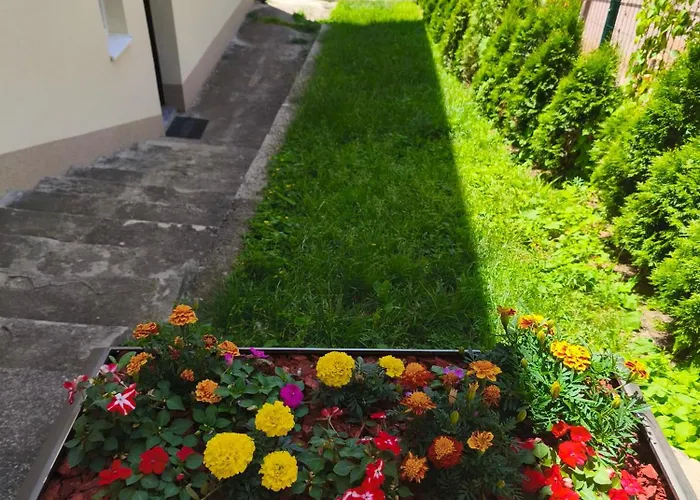 Sanja سراييفو